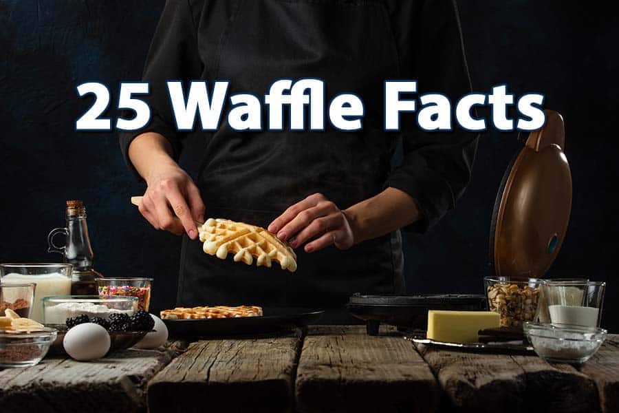 25-Waffle-Facts-and-Frequently-Asked-Questions---Featured-Image